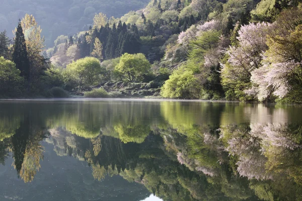 Прекрасный весенний пейзаж озера Серянджи — стоковое фото