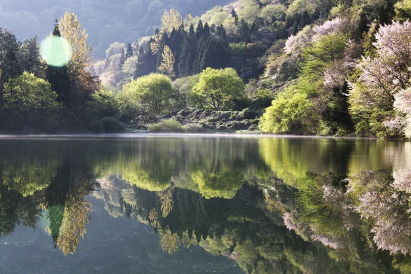 Seryangji 湖の美しい春の風景 — ストック写真