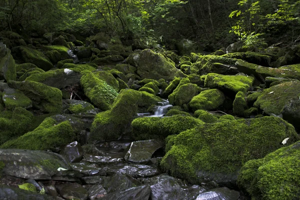 Jangjeon údolí — Stock fotografie