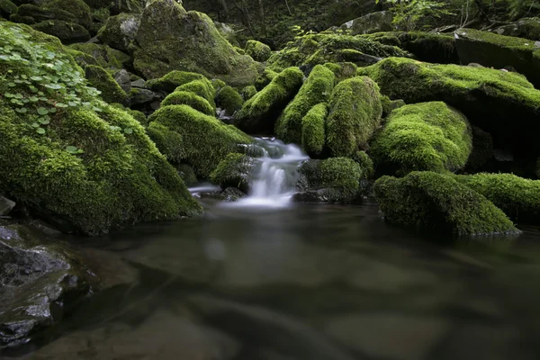 Jangjeon valley — Stockfoto