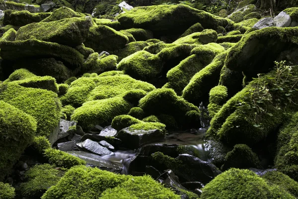 Jangjeon  valley — Stock Photo, Image