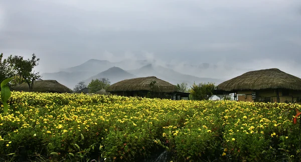 Traditional houses Chogajip at Hahoe Village — Stock Photo, Image