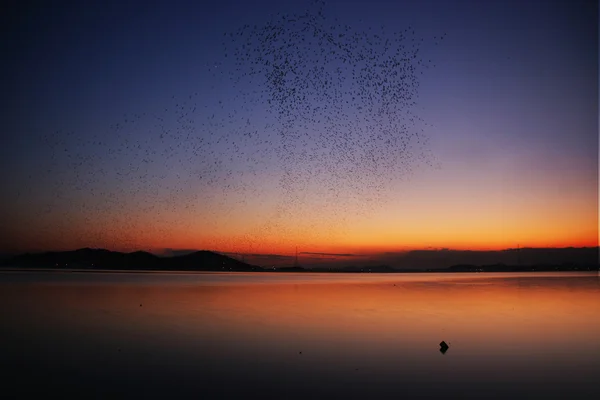 Puesta de sol — Foto de Stock