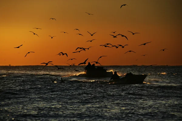 Pesca en barco en el mar — Foto de Stock