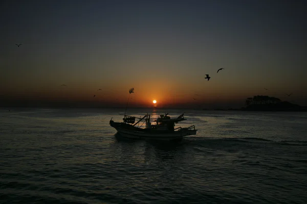 Boat and seagulls — Stock Photo, Image