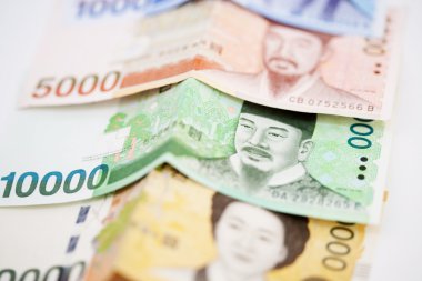 para birimi Güney Kore Wonu