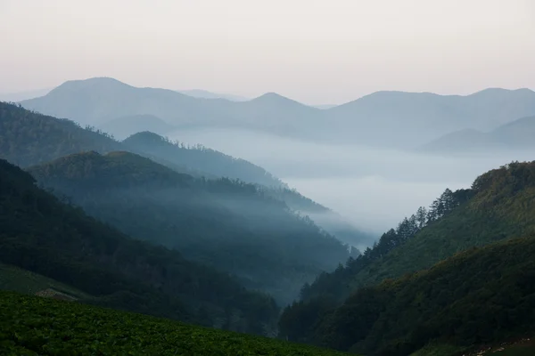 Mist in de bergen gwinemi dorp — Stockfoto