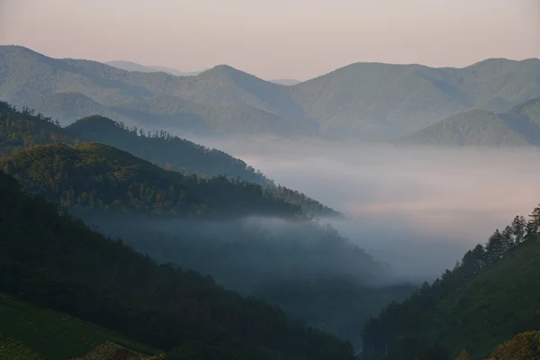 Fog in the mountains Gwinemi Village — Stock Photo, Image