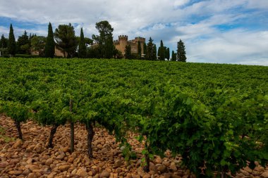 Chateauneuf du Pape 'deki üzüm bağlarının manzarası, kaldırım taşları, galet ve şato, Provence, Fransa.