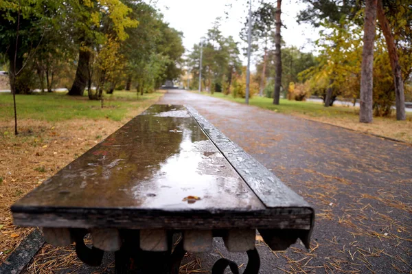 Autumn Urban Sketch Volgograd Embankment — Stock Photo, Image