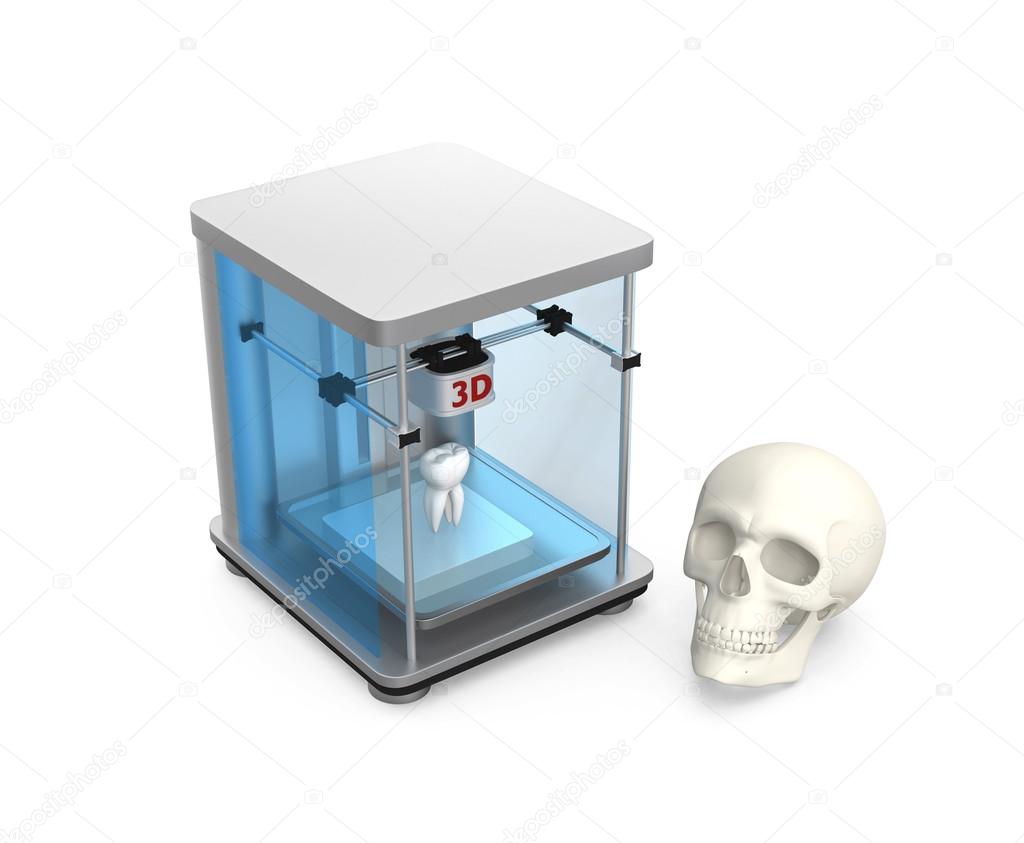 3D printer and human skull for dental tissue engineering concept