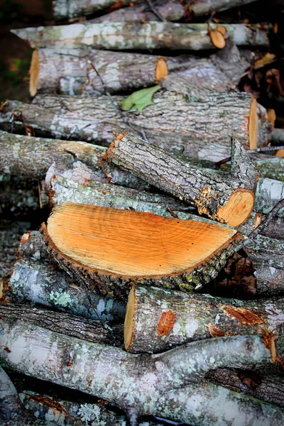 wedge of wood on a stack of woods