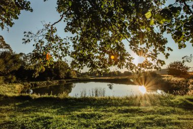 Güneş ışınları olan güzel ağaç suya yansıyor. Kırsal yaz manzarası, mavi gökyüzüne ve günbatımında gölete karşı ağaçlarla kaplı. Meditasyon için huzurlu ve uygun bir atmosfer..