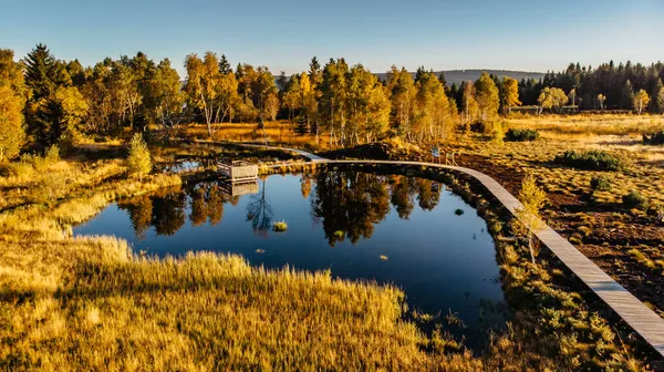 Peat Bog Pernink Village Krusne Hory Ore Mountains Czech Republic — Stock Photo, Image