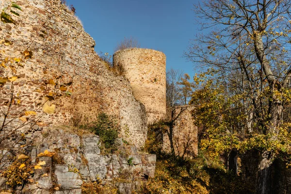 Ruïnes Van Valdek Castle Midden Bohemen Brdy Tsjechische Republiek Het — Stockfoto