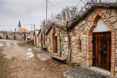 Vrbice, Çek Cumhuriyeti 'nin Moravya kentindeki şarap köyü, şarap mahzenleri. Basın odaları ve uzun mahzenleri olan taş binalar. Çatısı bitkilerle dolu şarap evleri, kış günü. Şarap tadımı..
