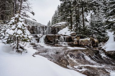 Krkonose Dağları, Çek Cumhuriyeti 'nde Certova Strouha adlı kış şelalesi. Donmuş şelale ve vahşi akarsu. Çek Ulusal Parkı. Kış Ormanı Deresi..