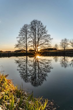 Güneş ışığına sahip güzel yaşlı ağaç suya yansıyor. Gün batımında mavi gökyüzüne karşı ağaçlarla kaplı kırsal bahar manzarası. Huzurlu ve meditasyon için uygun bir atmosfer. Şafakta yalnız ağaç silueti. Huzur..