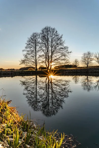 Güneş ışığına sahip güzel yaşlı ağaç suya yansıyor. Gün batımında mavi gökyüzüne karşı ağaçlarla kaplı kırsal bahar manzarası. Huzurlu ve meditasyon için uygun bir atmosfer. Şafakta yalnız ağaç silueti. Huzur..