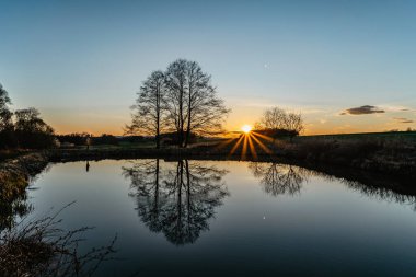 Güneş ışığına sahip güzel yaşlı ağaç suya yansıyor. Gün batımında mavi gökyüzüne karşı ağaçlarla kaplı kırsal bahar manzarası. Huzurlu ve meditasyon için uygun bir atmosfer. Şafakta yalnız ağaç silueti. Huzur..