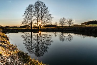 Güneş ışığına sahip güzel yaşlı ağaç suya yansıyor. Gün batımında mavi gökyüzüne karşı ağaçlarla kaplı kırsal bahar manzarası. Huzurlu ve meditasyon için uygun bir atmosfer. Şafakta yalnız ağaç silueti. Huzur..