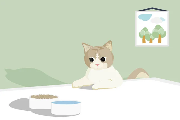Flat Art Cartoon Design Scottish White Brown Tabby Cat Look — Stock Vector