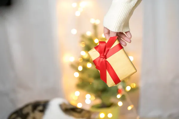 Femme Main Tenant Boîte Cadeau Nouvelle Année Avec Fond Arbre — Photo