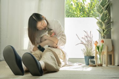 Asyalı kadın oturma odasında beyaz kahverengi tekir İskoç heteroseksüelle oynuyor.