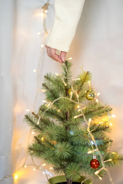 女性の手は新年のギフトボックスの背景とクリスマスツリーに光を飾る — ストック写真