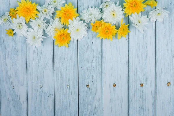 mavi ahşap üzerinde beyaz ve sarı kasımpatı olan bahar çiçeği duvar kağıdı koleksiyonu