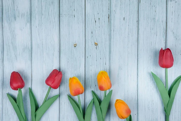 Colección Fondos Pantalla Flores Primavera Con Tulipán Madera Azul — Foto de Stock