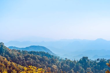 Seyahat ve gezgin şehvet. Yaz mevsiminde bulutlu tropikal ormanın manzarası.