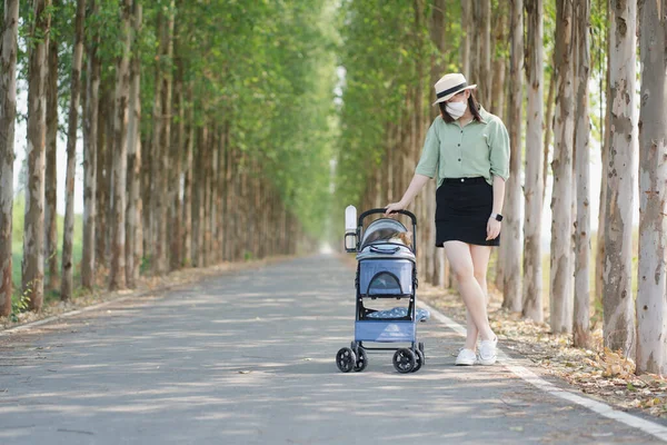 Asian Woman Wear Face Mask Travel Her Cat Cart Spring — Stock Photo, Image