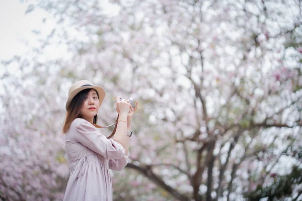 Asyalı kadın fotoğrafçı bahar mevsiminde pembe çiçeklerle gezer.