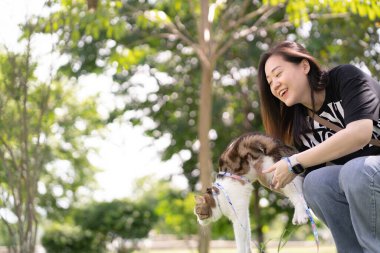 asian woman hug her scottish tabby cat during relax at park