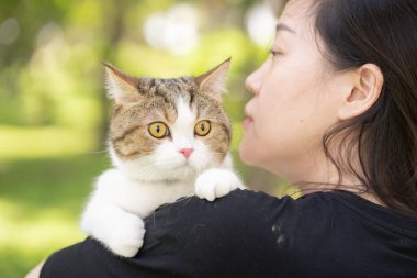 asian woman hug her scottish tabby cat during relax at park
