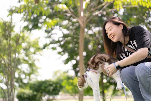 asian woman hug her scottish tabby cat during relax at park