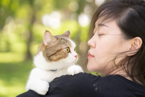 asian woman hug her scottish tabby cat during relax at park