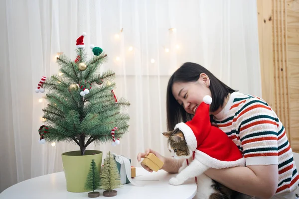 Asiatin Schmückt Weihnachtsbaum Und Kleidet Ihre Katze Mit Weihnachtsmotiv — Stockfoto