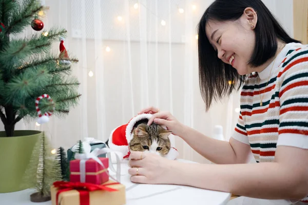 Asiatin Schmückt Weihnachtsbaum Und Kleidet Ihre Katze Mit Weihnachtsmotiv — Stockfoto