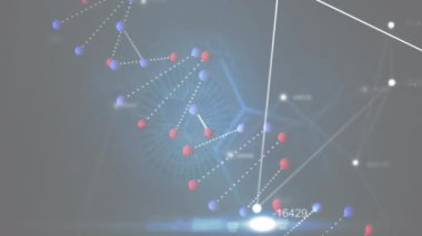 DNA iplikçiklerinin dönüşünün animasyonu ve bağlantı ağıyla birlikte değişen numaralar. küresel bilim, bağlantılar ve veri işleme kavramı dijital olarak oluşturulmuş video.