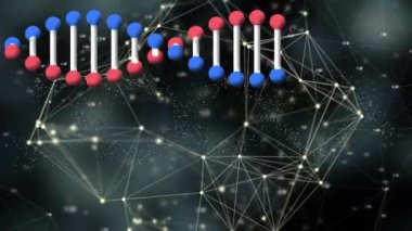DNA zincirinin, siyah arkaplandaki bağlantı ağının üzerindeki canlandırması. küresel bilim, bağlantılar ve dijital arayüz konsepti dijital olarak oluşturulmuş video.