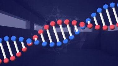 Koyu mavi arka planda dönen DNA zinciri ve bağlantı ağının animasyonu. küresel ağlar, bağlantılar, veri işleme ve dijital arayüz kavramı dijital olarak oluşturulmuş video.