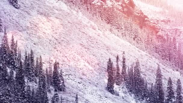 Animação Neve Caindo Sobre Paisagem Inverno Com Abetos Natal Inverno — Vídeo de Stock