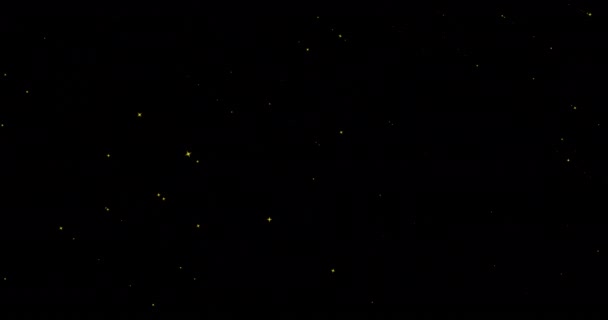 Animation Gold Stars Falling Black Background Party Celebration Concept Digitally — Stock Video