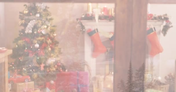 Відео Зимового Пейзажу Різдвяних Прикрас Концепція Різдвяного Традиційного Зимового Святкування — стокове відео