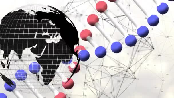 在白色背景的连接网络上动画的全球和Dna链 全球科学 连接和数字接口概念数字生成视频 — 图库视频影像