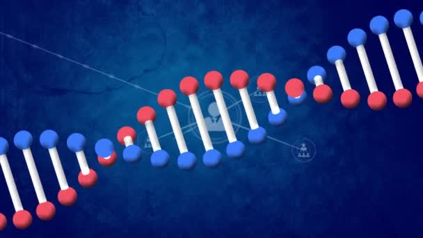 在深蓝色背景的连接网络上动画Dna链 全球网络 数据处理和数字接口概念 — 图库视频影像