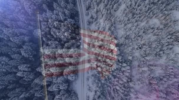 木と風景の空中ビューに対するアメリカの旗の上に幸せな退役軍人の日のテキスト アメリカの愛国心と退役軍人の日のお祝いのコンセプト — ストック動画