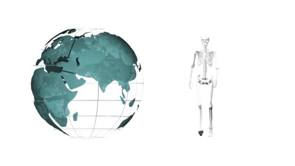 白い背景に骨格と地球のアニメーション 科学とデジタルインターフェースの概念はデジタルで生成され — ストック動画